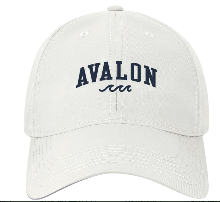 Avalon “Small” Cool Fit Wave Hat White w/navy