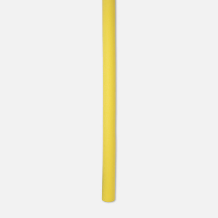 Swim Noodle With Net