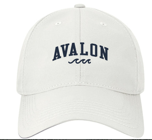 Avalon “Small” Cool Fit Wave Hat White w/navy